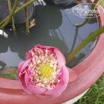 фото из отзыва ID 1395033