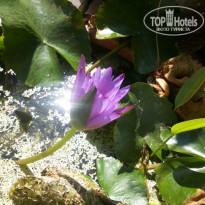 фото из отзыва ID 1395033