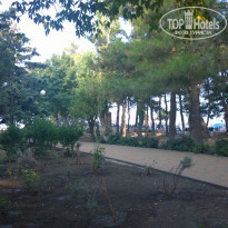 фото из отзыва ID 1395062