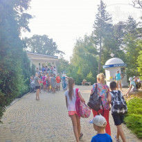 фото из отзыва ID 1395062