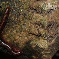 фото из отзыва ID 1395099