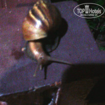 фото из отзыва ID 1395099