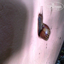 фото из отзыва ID 1395099