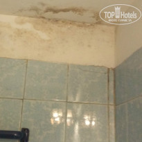 фото из отзыва ID 1395099