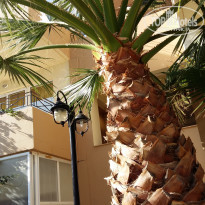 фото из отзыва ID 1395130