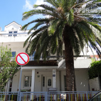 фото из отзыва ID 1395176