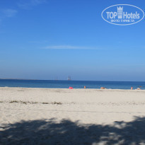 фото из отзыва ID 1395189