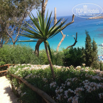 фото из отзыва ID 1395287