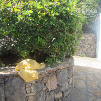 фото из отзыва ID 1395318