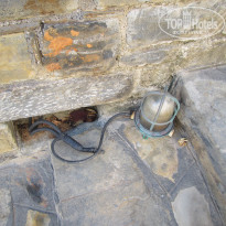 фото из отзыва ID 1395318