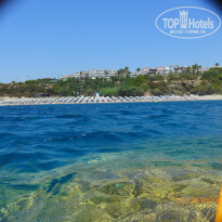 фото из отзыва ID 1395366