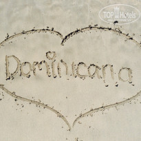 фото из отзыва ID 1395390