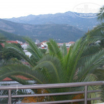 фото из отзыва ID 1395491