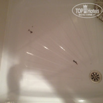 фото из отзыва ID 1395503