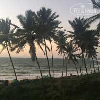 фото из отзыва ID 1395521