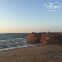 фото из отзыва ID 1395521