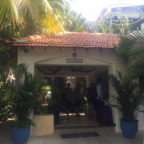 фото из отзыва ID 1395521