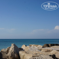 фото из отзыва ID 1395531