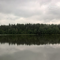 фото из отзыва ID 1395569