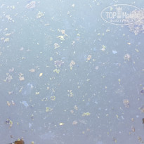 фото из отзыва ID 1395630