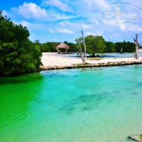 фото из отзыва ID 1395650