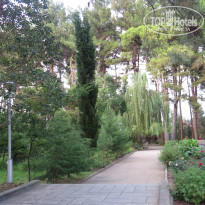 фото из отзыва ID 1395701