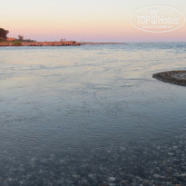 фото из отзыва ID 1395701