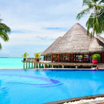 фото из отзыва ID 1395717