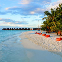 фото из отзыва ID 1395717