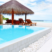 фото из отзыва ID 1395717