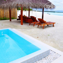 фото из отзыва ID 1395717