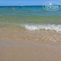 фото из отзыва ID 1395742