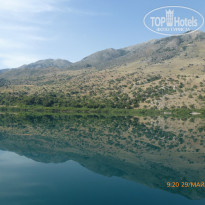 фото из отзыва ID 1394396