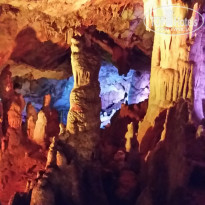 фото из отзыва ID 1394396