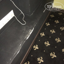 фото из отзыва ID 1395971