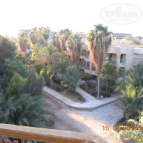 фото из отзыва ID 1395980