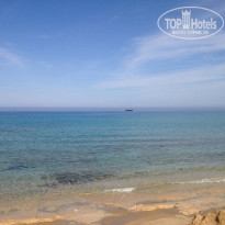 фото из отзыва ID 1395994