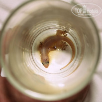 фото из отзыва ID 1396089