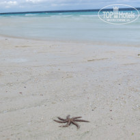 фото из отзыва ID 1396150