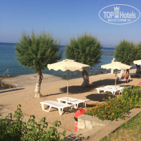 фото из отзыва ID 1396228