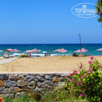 фото из отзыва ID 1396247