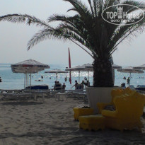 фото из отзыва ID 1396253