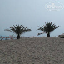 фото из отзыва ID 1396253