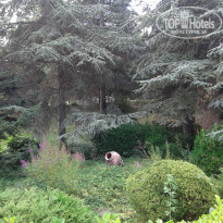 фото из отзыва ID 1396291