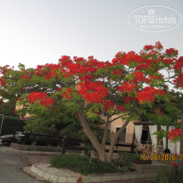 фото из отзыва ID 1396326