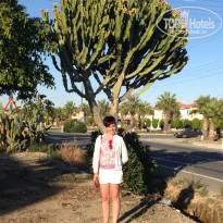 фото из отзыва ID 1396326