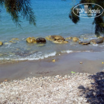 фото из отзыва ID 1396418