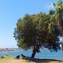 фото из отзыва ID 1396418