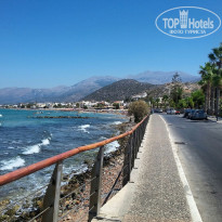 фото из отзыва ID 1396478