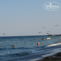 фото из отзыва ID 1396517